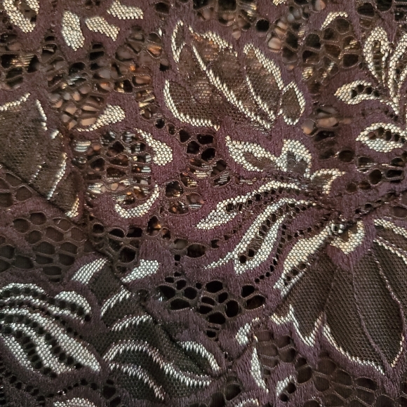 EUC Rufen sleeveless lace top szL - Picture 3 of 7